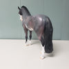 Acai OOAK Bay Roan Overo Custom Andalusian MARE By Jess Hamill - SHCF24