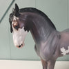 Acai OOAK Bay Roan Overo Custom Andalusian MARE By Jess Hamill - SHCF24