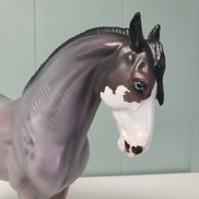 Acai OOAK Bay Roan Overo Custom Andalusian MARE By Jess Hamill - SHCF24