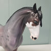 Acai OOAK Bay Roan Overo Custom Andalusian MARE By Jess Hamill - SHCF24