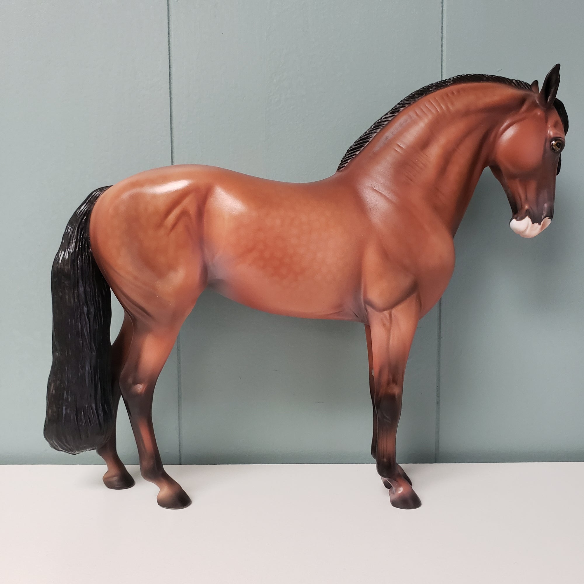 Tangerine OOAK Dappled Wild Bay Andalusian MARE By Jess Hamill - SHCF24