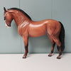 Tangerine OOAK Dappled Wild Bay Andalusian MARE By Jess Hamill - SHCF24