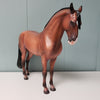 Tangerine OOAK Dappled Wild Bay Andalusian MARE By Jess Hamill - SHCF24