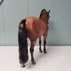 Tangerine OOAK Dappled Wild Bay Andalusian MARE By Jess Hamill - SHCF24