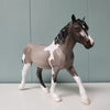 Unity OOAK Reverse Dapple Roan Tobiano Draft Pebble By Jess Hamill - SHCF24