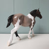 Unity OOAK Reverse Dapple Roan Tobiano Draft Pebble By Jess Hamill - SHCF24