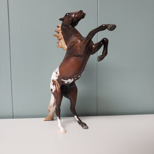 Respect OOAK Liver Chestnut Appaloosa Rearing Pebble By Jess Hamill ...
