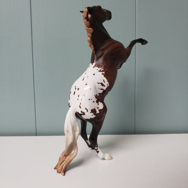 Respect OOAK Liver Chestnut Appaloosa Rearing Pebble By Jess Hamill ...