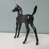 Empathy OOAK Dappled Black Arabian Foal By Jess Hamill - SHCF24