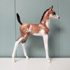 Affinity OOAK Bay Sabino Etched Arabian Foal By Jess Hamill - SHCF24