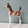 Affinity OOAK Bay Sabino Etched Arabian Foal By Jess Hamill - SHCF24