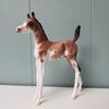 Affinity OOAK Bay Sabino Etched Arabian Foal By Jess Hamill - SHCF24