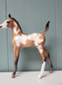 Amity OOAK Buckskin Overo Arabian Foal By Jess Hamill - SHCF24