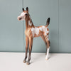 Amity OOAK Buckskin Overo Arabian Foal By Jess Hamill - SHCF24