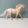 Mayberry OOAK Palomino Appaloosa Custom Pony By Jess Hamill BEST OFFER  6/4/24