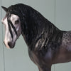 Paarl OOAK Reverse Dappled Grey Custom Mustang By Jess Hamill BEST OFFER  6/4/24