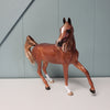 Golden Vibes OOAK Dappled Chestnut Custom Arab Mare By Sheryl Leisure BEST OFFER  6/4/24