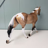 How High The Moon OOAK Dappled Buckskin Tobiano Custom Palouse By Sheryl Leisure BEST OFFER  6/4/24 (C