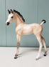 Yarrow OOAK Dun Custom Arab Foal By Ellen Robbins  Best Offers 6/11/24