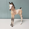 Yarrow OOAK Dun Custom Arab Foal By Ellen Robbins  Best Offers 6/11/24