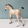 Yarrow OOAK Dun Custom Arab Foal By Ellen Robbins  Best Offers 6/11/24