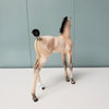 Yarrow OOAK Dun Custom Arab Foal By Ellen Robbins  Best Offers 6/11/24