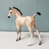 Yarrow OOAK Dun Custom Arab Foal By Ellen Robbins  Best Offers 6/11/24