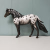 Hey Ba Ba Re Bop OOAK Black Appaloosa Custom Mustang By Sheryl Leisure BEST OFFER  6/11/24