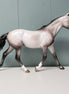 Crazy Rythm OOAK Dapple Grey Custom Palouse By Sheryl Leisure By Best Offers 7/9/24