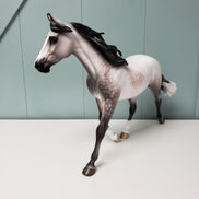 Crazy Rythm OOAK Dapple Grey Custom Palouse By Sheryl Leisure By Best Offers 7/9/24
