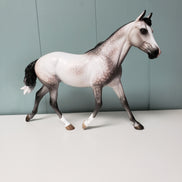 Crazy Rythm OOAK Dapple Grey Custom Palouse By Sheryl Leisure By Best Offers 7/9/24