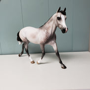 Crazy Rythm OOAK Dapple Grey Custom Palouse By Sheryl Leisure By Best Offers 7/9/24