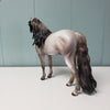 Cantata OOAK Dappled Grey Custom Mustang By Julie Keim BEST OFFER  6/11/24