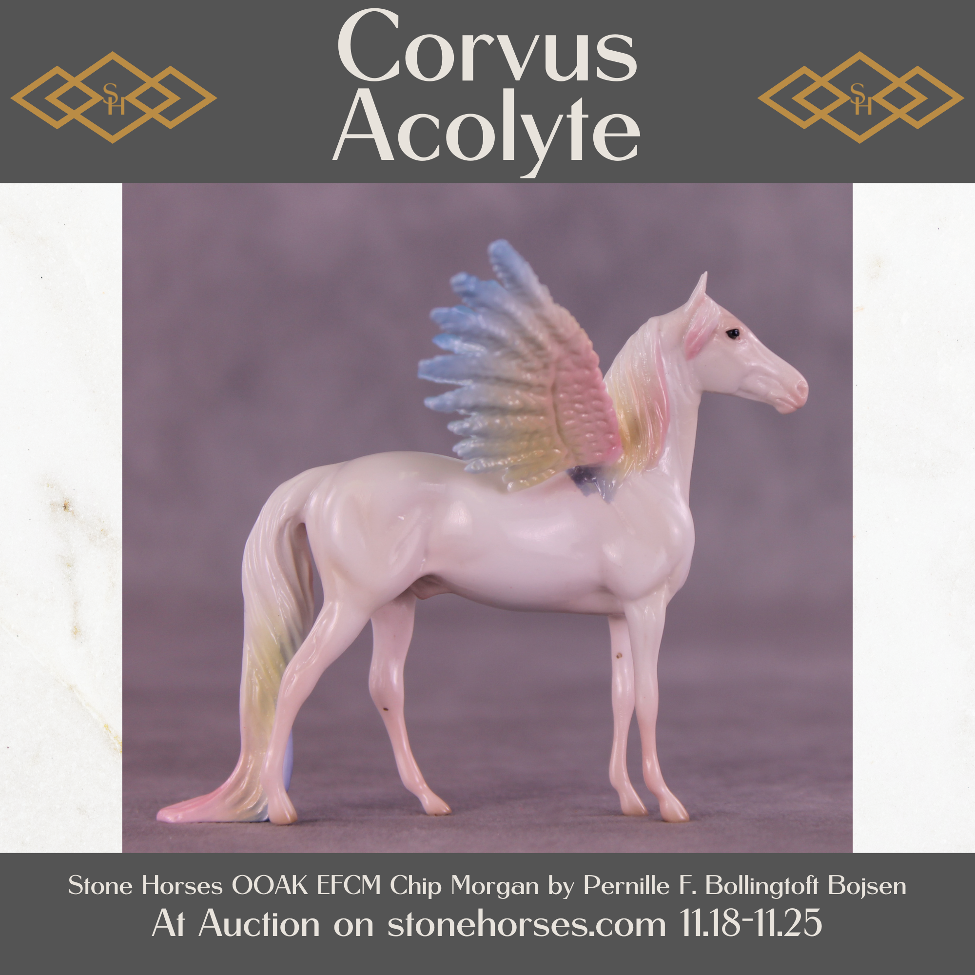 Corvus Acolyte EFCM Chip Morgan by Pernille F. Bøllingtoft Bøjsen 11/25/2025 SS1125