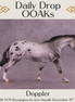 Doppler OOAK FCM Remington by Jess Hamill DDOOAKs25