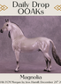Magnolia OOAK FCM Morgan by Jess Hamill DDOOAKs25