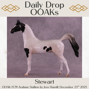 Stewart OOAK FCM Arabian Stallion by Jess Hamill DDOOAKs25