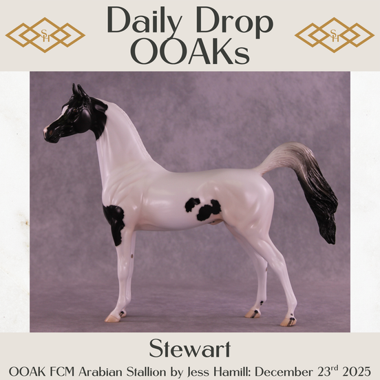 Stewart OOAK FCM Arabian Stallion by Jess Hamill DDOOAKs25