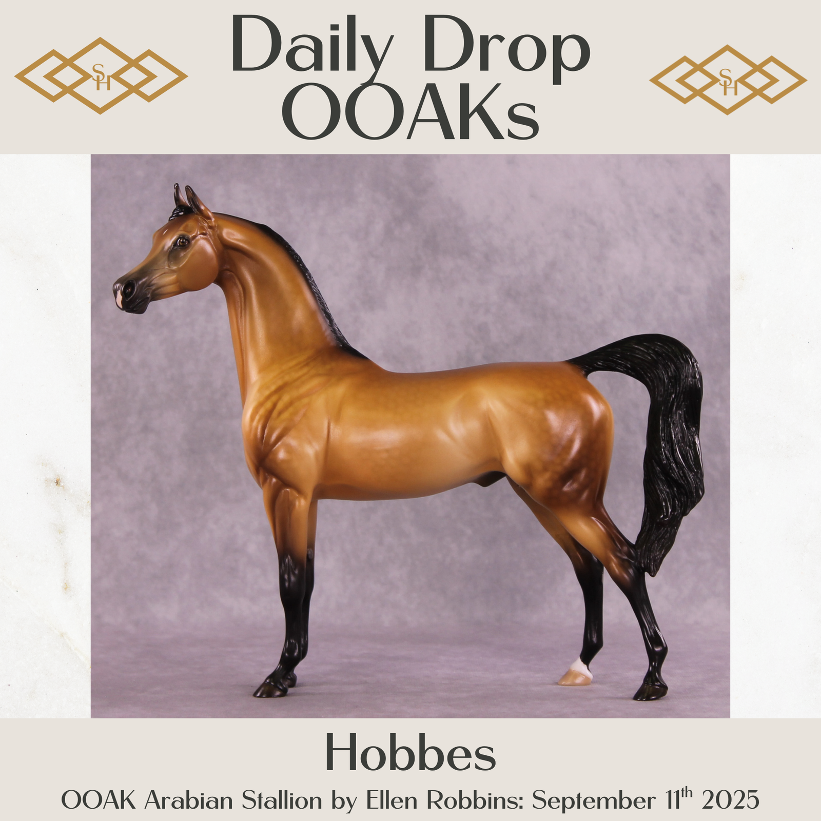 Hobbes OOAK Arabian Stallion by Ellen Robbins DDOOAKs25