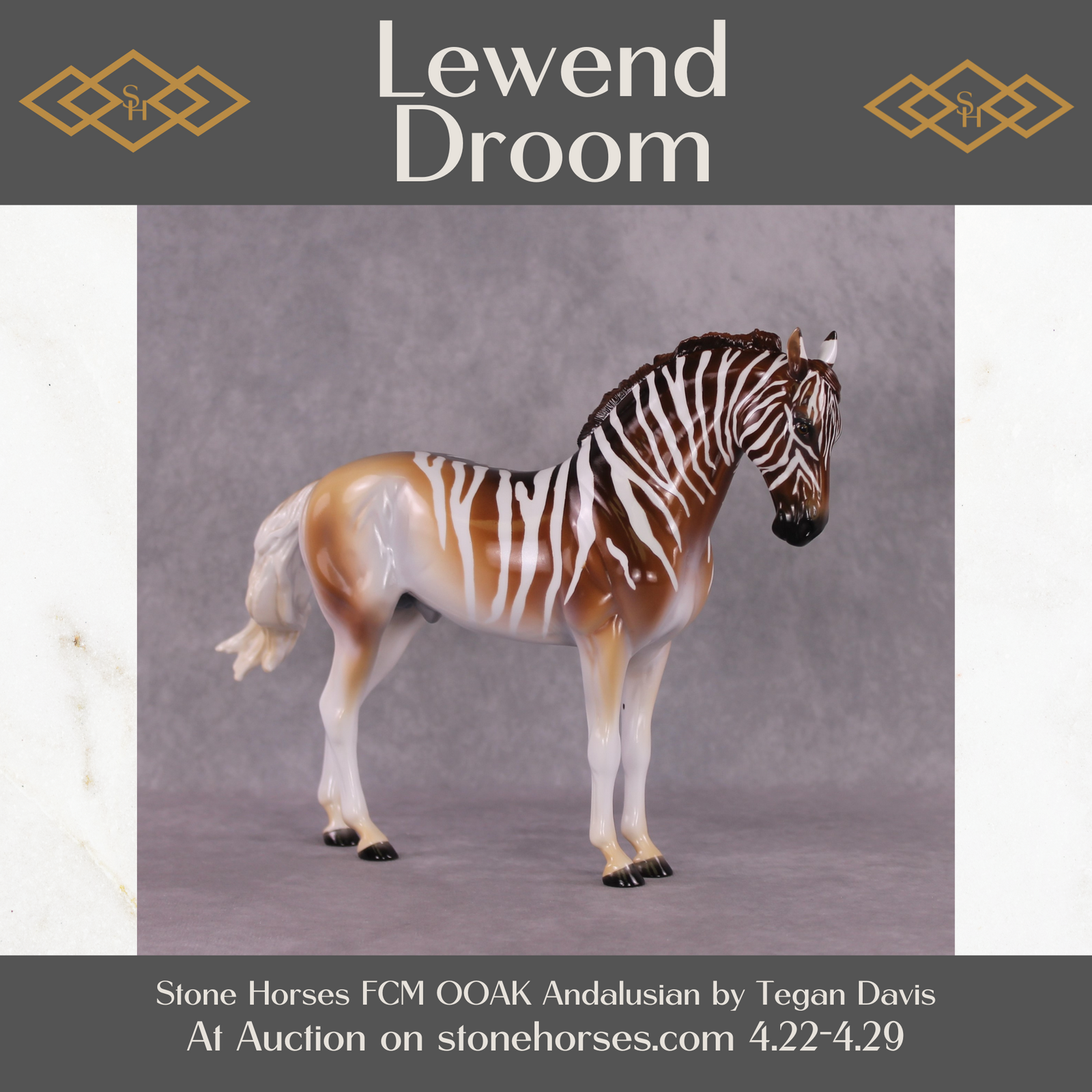 "Lewend Droom" FCM Andalusian By Tegan Davis