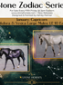 "Alikdora" LE-10 Purple Stars & Nebula Deco Mule By Ashley Palmer Zodiac Series: Aquarius ZS25