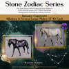 &quot;Alikdora&quot; LE-10 Purple Stars &amp; Nebula Deco Mule By Ashley Palmer Zodiac Series: Aquarius ZS25