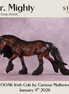 Mr. Mighty OOAK Irish Cob by Carissa Mathews DDOOAKs26