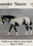 Thunder Storm OOAK Large Mule by Dawn Quick DDOOAKs26
