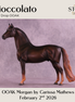 Cioccolato OOAK Morgan by Carissa Mathews DDOOAKs26