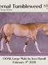 Eternal Tumbleweed OOAK Large Mule by Jess Hamill DDOOAKs26