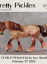 Pretty Pickles OOAK FCM Irish Cob by Jess Hamill DDOOAKs26