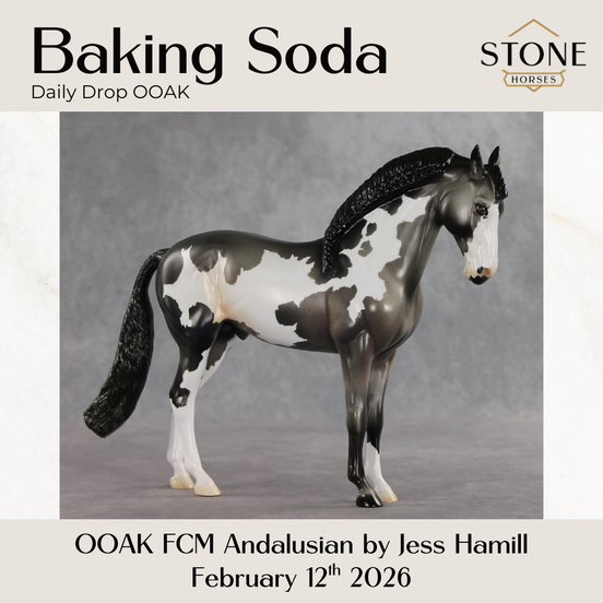 Baking Soda OOAK FCM Andalusian by Jess Hamill DDOOAKs26