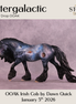 Intergalactic OOAK Irish Cob by Dawn Quick DDOOAKs26