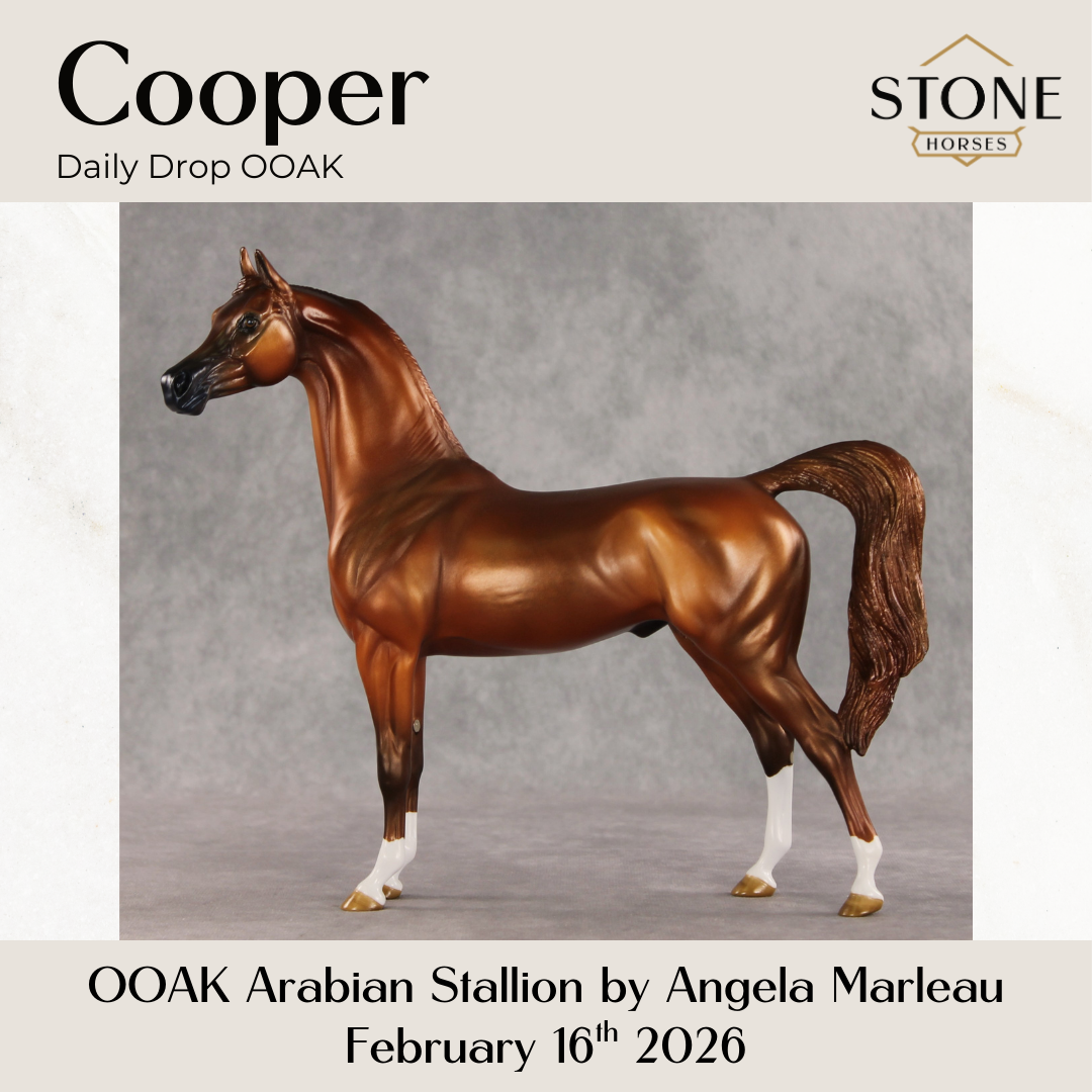 Cooper OOAK Arabian Stallion by Angela Marleau DDOOAKs26
